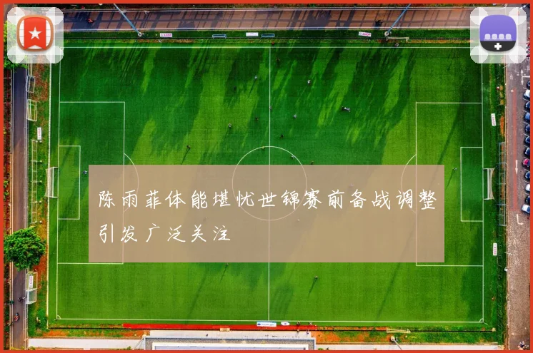 陈雨菲体能堪忧世锦赛前备战调整引发广泛关注